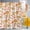 White, variant on Shower Curtains for Bathroom-72"x72",Cartoon Pumpkin Fallen Leaves Waterproof Bath Curtain Grommet Shower Curtain Set with Hooks