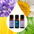 thumbnail image 3 of Plant Therapy Relaxation Synergy Set 100% Pure, Undiluted, Natural Aromatherapy, 3 of 9