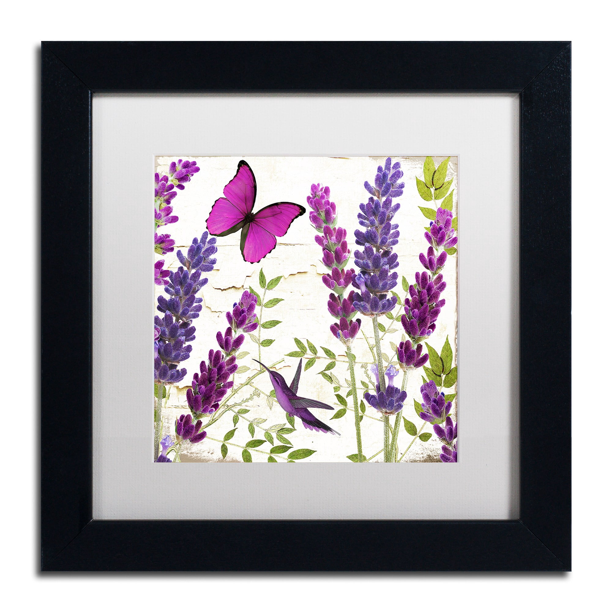 Trademark Fine Art "Lavender II" Canvas Art by Color Bakery, White Matte, Black Frame