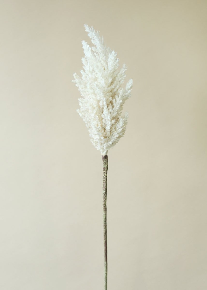Ivory Artificial Pampas Grass 33"