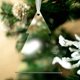 thumbnail image 1 of 20Pack DIY Christmas tree acrylic Christmas Ornaments Hanging Decoration Gift Christmas Hanging Tree Personalized Pendant Party, 1 of 4