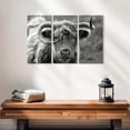 thumbnail image 2 of Elephant Stock Monochrome Highland Cow Wall Art - Horizontal Multi Panel Canvas - Living Room Wall Decor - Animal Multi Panel - Black And Gray Decor - 23" x 14", 2 of 4