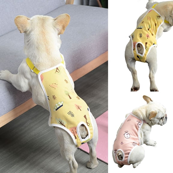 jiaroswwei Pet Sanitary Pants Adjustable Band Menstruation Shorts Washable Dog Diaper Pet Physiological Pants for Indoor