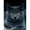 12x16 inch, variant on 5D DIY Artificial Full Diamond Painting Set - Adult Beginner, Charming Gray Tabby Cat with Orange Eyes for Home Wall Decor & Gift - Perfect for Art Lovers & Adults