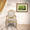 thumbnail image 3 of Paulson, Don 14x11 Gold Ornate Wood Framed with Double Matting Museum Art Print Titled - Washington, Olympic NP Trail through a forest, 3 of 4