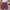 Purple B, variant on OKBOP Bermuda Shorts for Women Blue Wide-Leg Relaxed Fit Casual Ripped Jeans Shorts