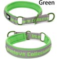 thumbnail image 2 of HAHDAXIA Collier Étrangleur pour Chien en Nylon, Vert, Petit, 2 of 7