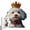 Ordinary L, variant on Artisanal Regal Canine Jigsaw Art: Vibrant Mosaic Wood Puzzle with Irregular Animal Pieces, Frameable Feline [wait, Dog] Silhouette for Creative Living Room Decor, Small