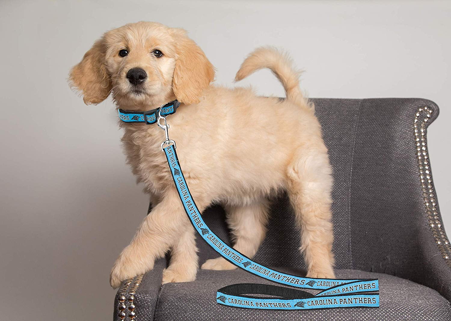 Pets First NFL Carolina Panthers Heavy Duty and Durable Dogs and Cats Sports Leash - Large