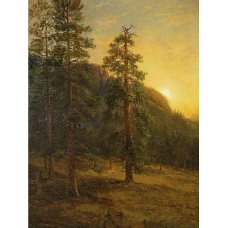 California Redwoods, 1872 Traditional Forest Tree Landscape Print Wall Art By Albert (Best Place To See Redwood Trees In California)