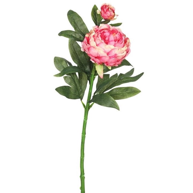 Pivoine X2 Tige Florale, Rose - Lot de 3