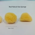 thumbnail image 4 of Sinkoo Hermit Crab Sponges, 3pcs Natural Real Unbleached Sea Sponges for Hermit Crab Provides Nutrients Safer Drinking, Aquarium Decor Balance Tank Humidity, 4 of 5