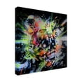 thumbnail image 2 of Trademark Fine Art 'Shine Skull' Canvas Art by Taka Sudo, 2 of 3