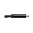 thumbnail image 4 of Tripp Lite U420-006-5A USB-C to USB-C Cable (M/M) - 6 ft., 4 of 4