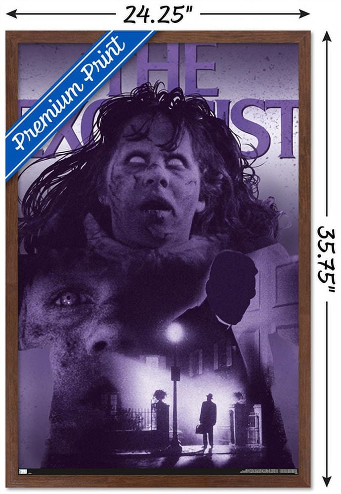 The Exorcist - Collage Wall Poster, 22.375" x 34", Framed