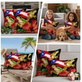 thumbnail image 4 of Outdoor Pillow Covers Country Red Flowers Frog Waterproof Pillow Cases 24x24 Set of 2, Puerto Rico Flag Throw Pillow Cover Pillowcase for Patio Balcony Couch Garden, 4 of 9