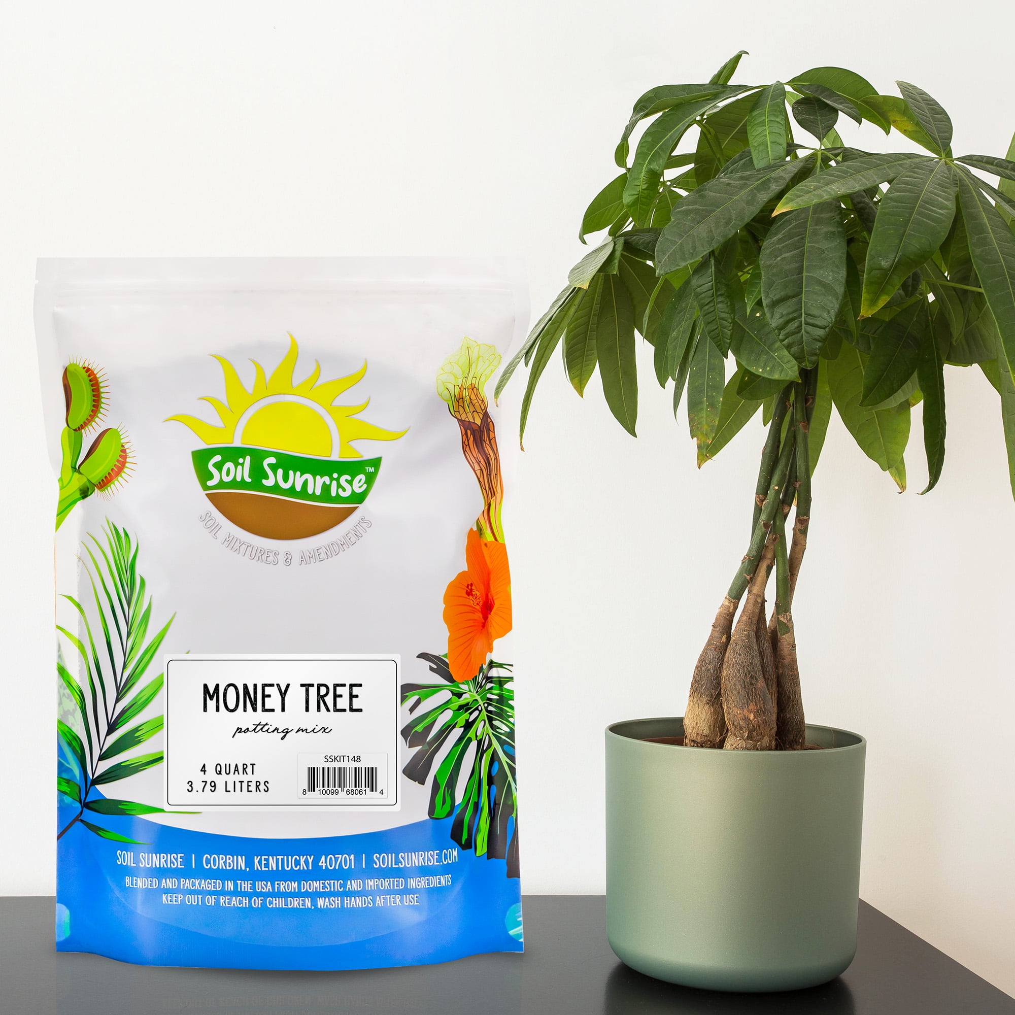 Best potting soil sale for money tree
