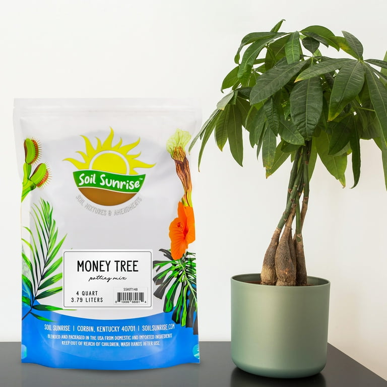 Soil for money tree deals
