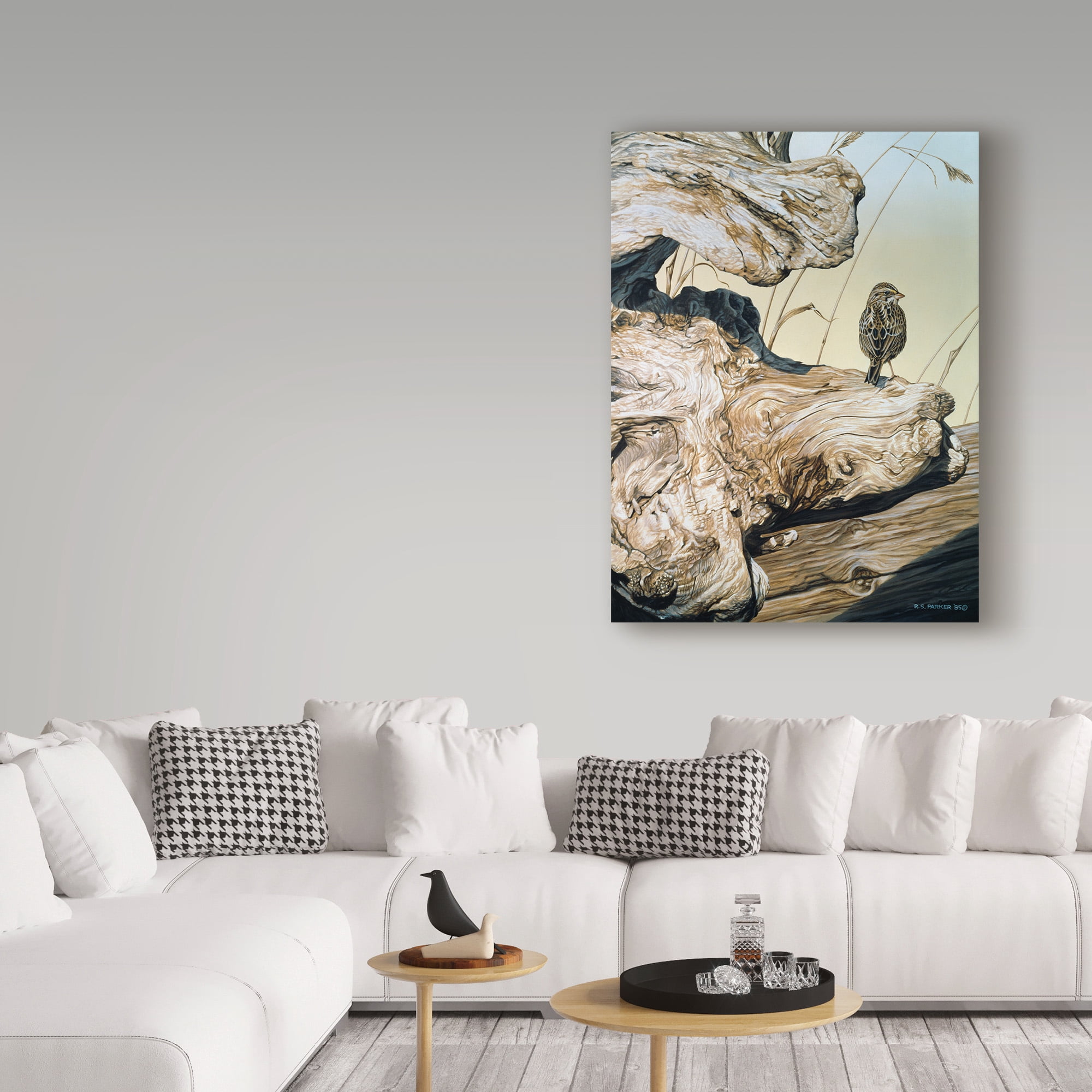 Trademark Fine Art 'Driftwood' Canvas Art by Ron Parker