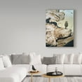 thumbnail image 3 of Trademark Fine Art 'Driftwood' Canvas Art by Ron Parker, 3 of 3