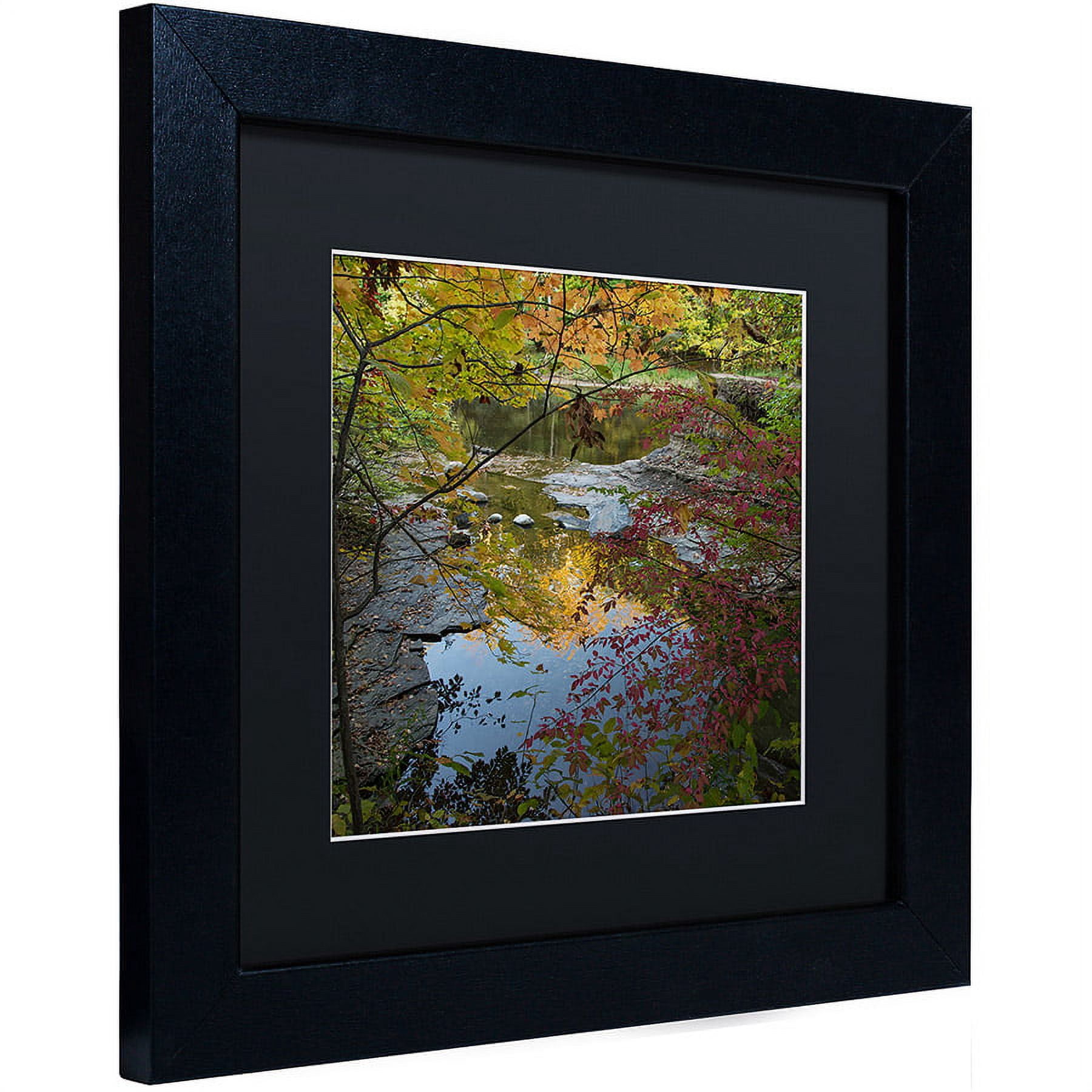 Trademark Fine Art "Why I Love Autumn 3" Canvas Art by Kurt Shaffer, Black Matte, Black Frame