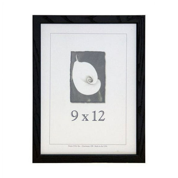 Frame USA Architect Picture Frame 10.125W 3.5H