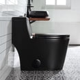 thumbnail image 2 of One Piece Elongated Toilet for Bathroom, Soft Closing Seat Include, High Efficiency 1.28 GPF, 12'' Rough-In, Matte Black, 2 of 8