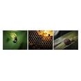 thumbnail image 3 of Dr.G Royal Black Snail Ampoule 30ml, 3 of 5