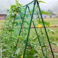 thumbnail image 4 of GardenClimbingPlantsStakesReusableAnti-slipSurfacePlantStakeForGardenGreenhouseSupply, 4 of 4