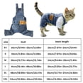 thumbnail image 3 of Dog Overalls, Breathable Washed Denim Blue Spring and Fall Thin Pet Jumpsuit with Adjustable Straps 1 Piece Casual Comfortable Puppy Apparel for Small Medium Dogs Walking Daily Wearing, 3 of 6