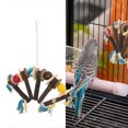 thumbnail image 4 of Bird Biting Toy, Bite Resistant Fan Shaped Bird Chewing Toy  For African Grey For Conure, 4 of 8