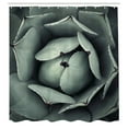 thumbnail image 3 of Ambesonne Floral Shower Curtain, Flourishing Grey Cactus, 69"Wx84"L, Grey, 3 of 5