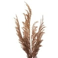 thumbnail image 2 of Vickerman 20" Artificial Mocha Brown Pampas Grass Wreath, 2 of 3