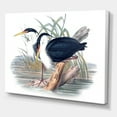 thumbnail image 3 of Designart ' Ancient Bird Life II ' Traditional Canvas Wall Art Print, 3 of 4