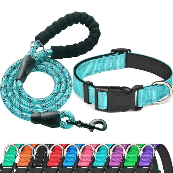Banenu Reflective Dog Collar and Leash Set, Adjustable Nylon Collar with Soft Handle Leash for Medium Dogs, Cyan, 5FT Lead