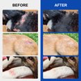 thumbnail image 4 of Petpya Wound Spray for Dogs & Cats,Care Hot Spot and Itch Relief Spray, Protects Cuts and Scratches，First Aid Promoting Healing Pet Wound Spray Dog Wound Skin Care 2 Pack, 4 of 10
