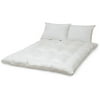 Regal Nights By Biopedic 2.5" Feather Be