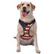 thumbnail image 1 of Fotbe American Flag And Baseball Arnés para Perro con Estampado –Chaleco Ajustable Acolchado con Asa de Control para Perros Grandes-Small, 1 of 6
