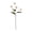 Champagne, variant on KGJQ Artificial Pompon Mum, 5 Heads Faux Mini Chrysanthemums Ball, Small Fake Flower Stem for Vase Filler, DIY Bouquet, Autumn Table Centerpiece, Flower Arrangements