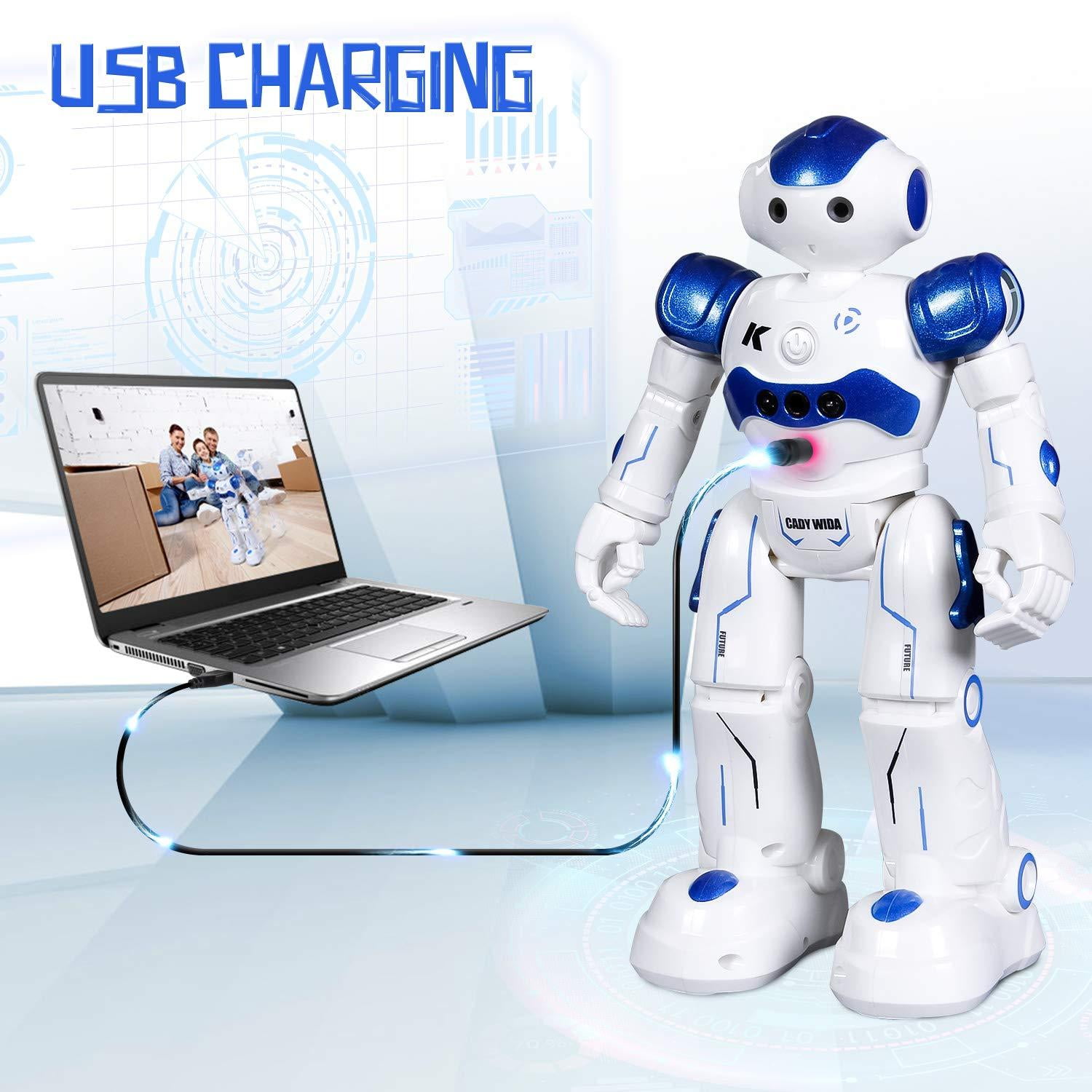 sgile robot