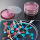 thumbnail image 3 of Juego de Platos con Tapas Yashi 30 Platos 100 Pipetas 3 ml Color Transparente, 3 of 5