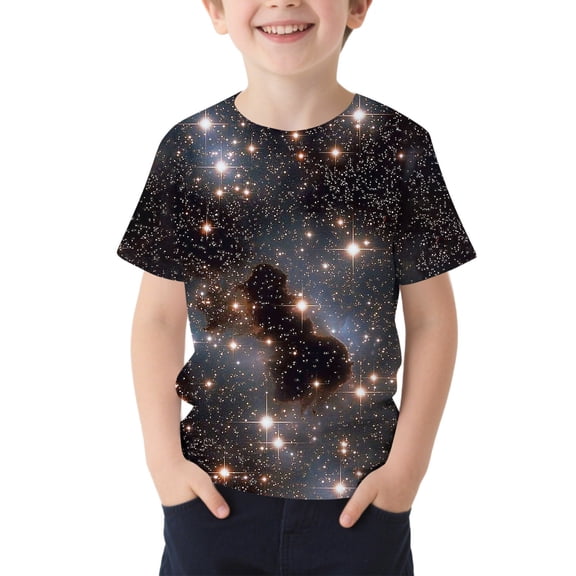 FSYBOA Boys Graphic T-shirts, Crew Neck Summer Fashion Shorts Sleeves Kids Tees Multicolor Size 14-16 T