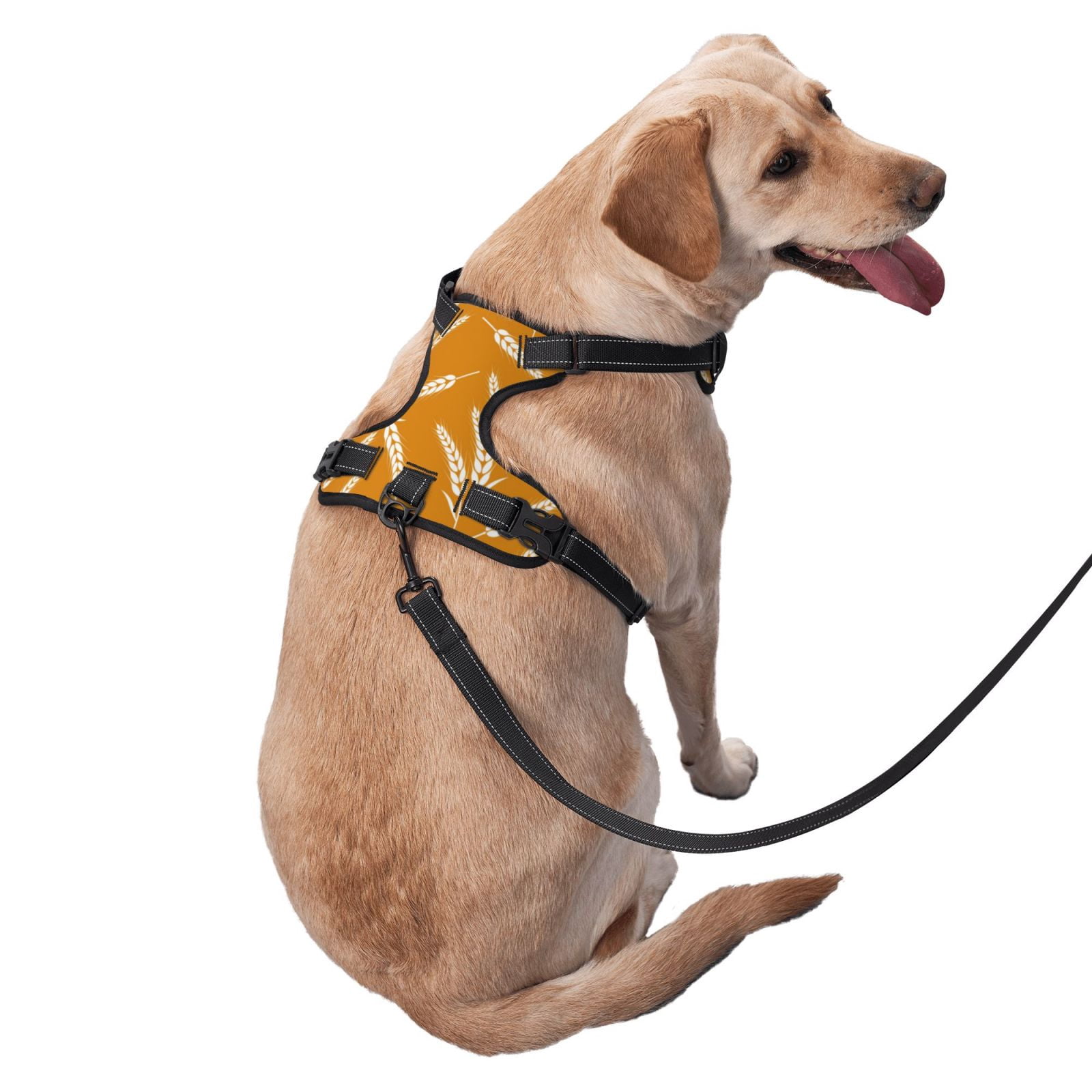 Vsdgher Autumn Orange Wheat Dog Harness, No-Pull Pet Harness, Dog Vest, Pet Vest for Small to Large Dogs-X-Large