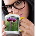thumbnail image 2 of 3drose, Pitcher Plants in a Bog Near Lubec, Maine, Usa - Us20 Cha0075 - Chuck Haney, 11oz Two-tone Yellow Mug, 2 of 6