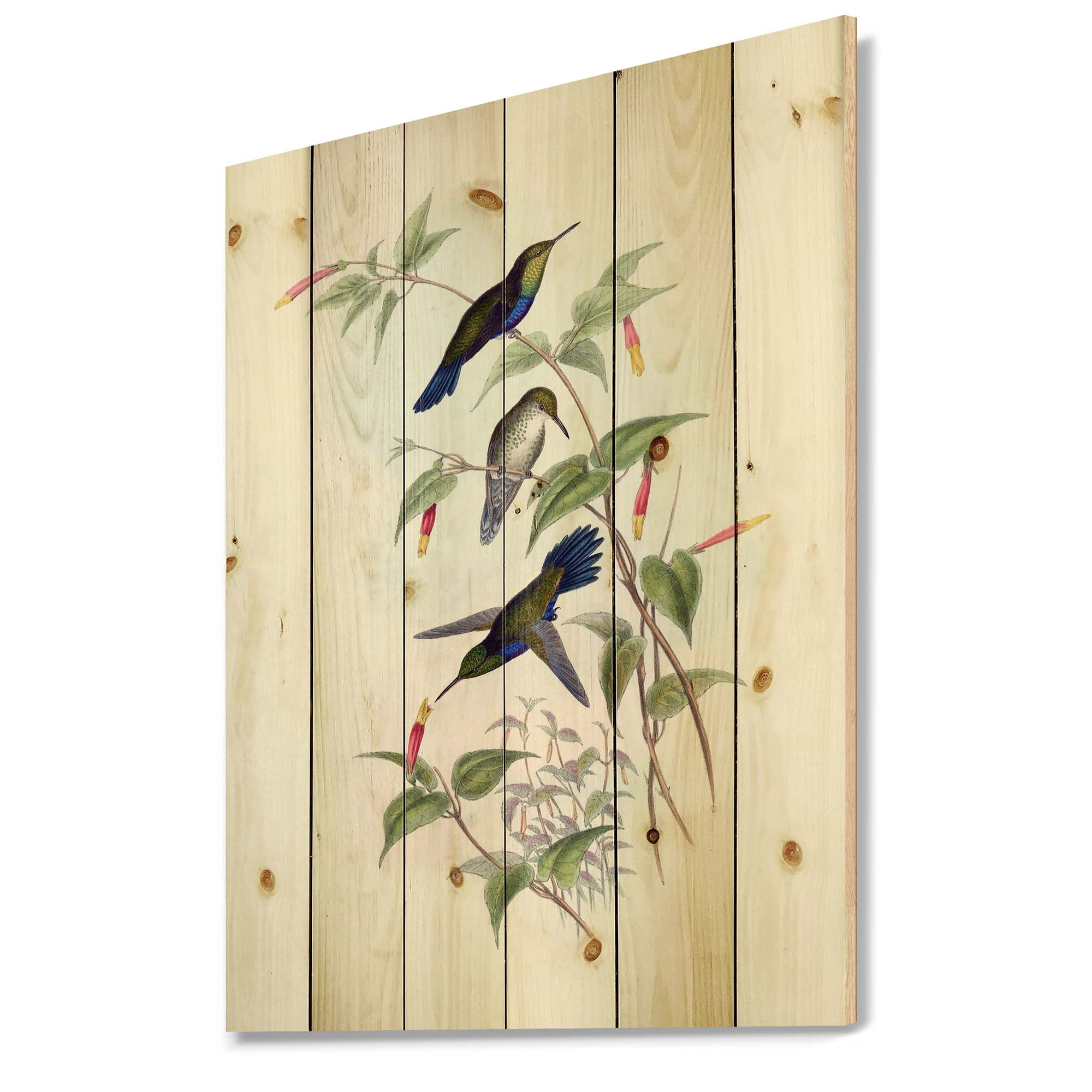 Designart 'Ancient Hummingbird I' Traditional Print on Natural Pine Wood