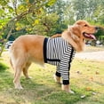 thumbnail image 2 of HUGFEGWE Pyjama pour Chien Chemise Noire à Rayures Blanches Manches Longues Résistant au Rétrécissement Respirant pour la Maison (6TG) CJB91-49867, 2 of 9