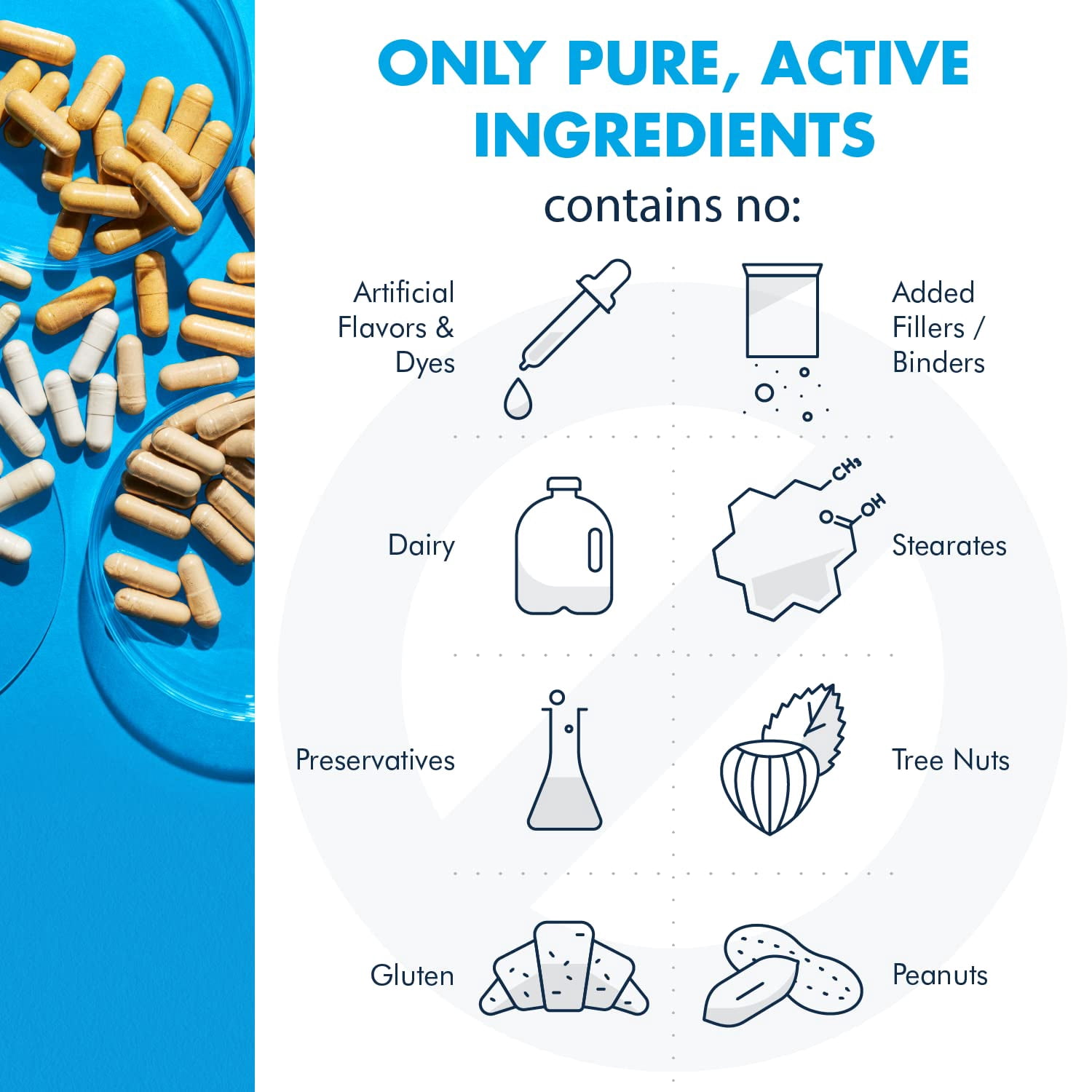 Metabolic Maintenance Vitamin Mineral Base Powder - Comprehensive Multivitamin Powder - Active Vitamins & Chelated Minerals - High Absorption Nutritional Support - 60 Servings - 11 oz