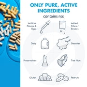 Metabolic Maintenance Vitamin Mineral Base Powder - Comprehensive Multivitamin Powder - Active Vitamins & Chelated Minerals - High Absorption Nutritional Support - 60 Servings - 11 oz