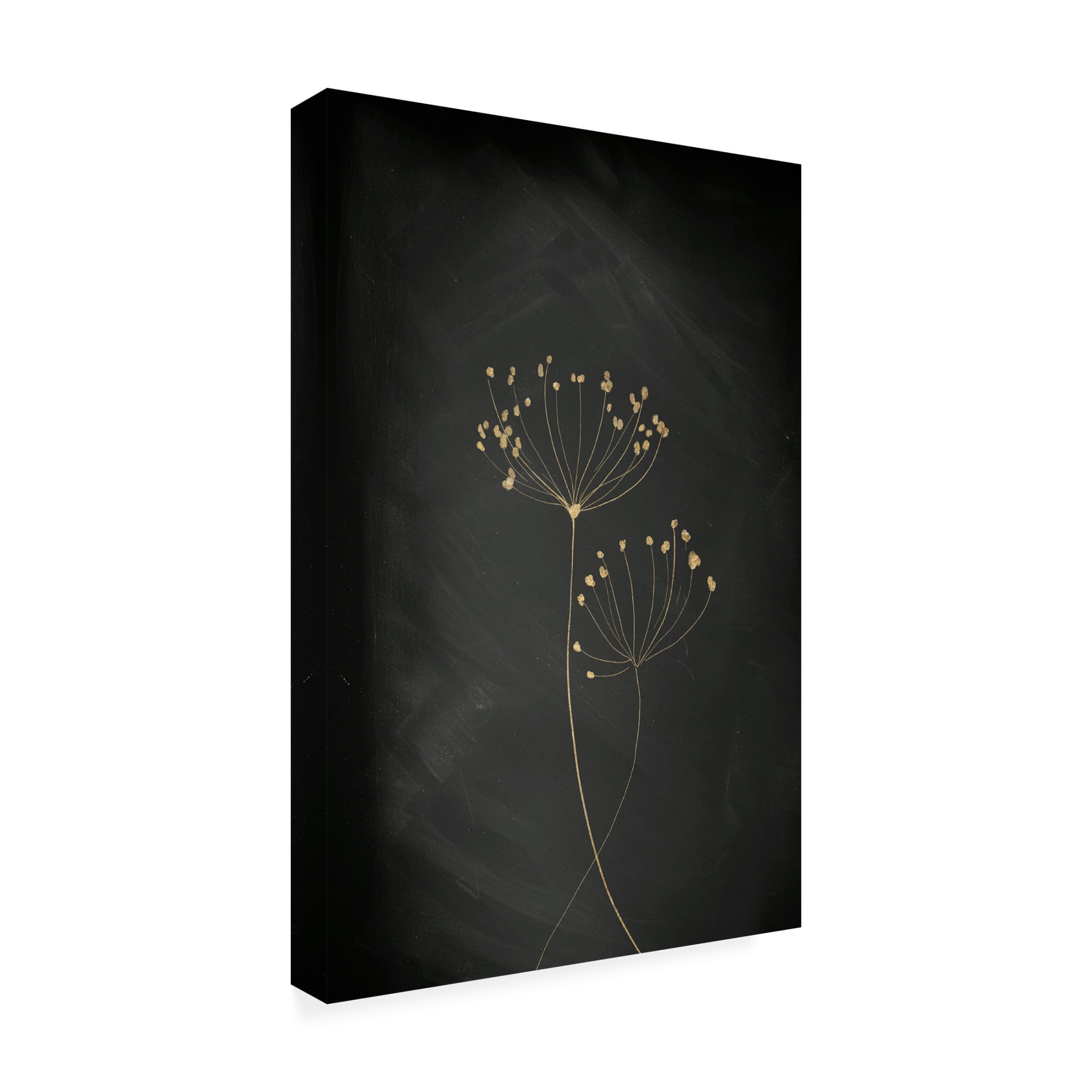 Trademark Fine Art Aureous   Black Gold Botanical No 2 Canvas Wall Art