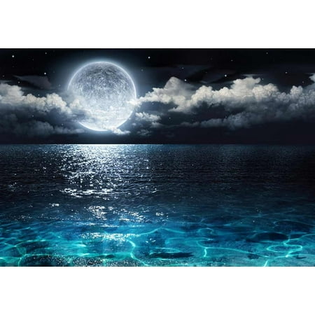 Ocean View Wall Mural wall26 Beautiful Ocean View With the Moon Resting Above it- Wall Mural, Removable Sticker, Home Decor - 66x96 inches ()